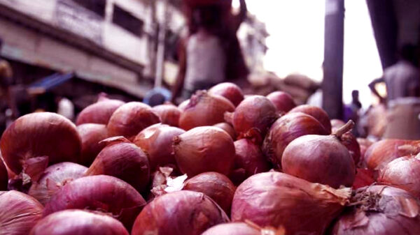 পেঁয়াজ থেকে সংক্রমণ, আক্রান্ত ৬ শতাধিক মানুষ